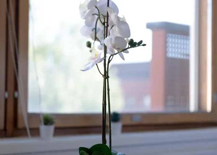 Cozy Family By Booklapland Διαμέρισμα Ροβανιέμι